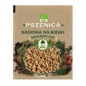 Nasiona na kiełki Pszenica 50g Dary Natury